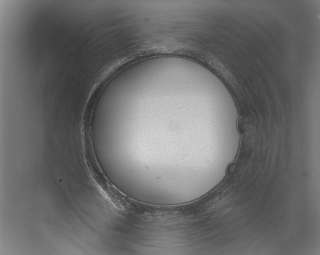 X0000073970626200609111743