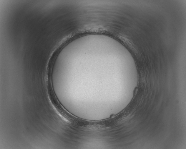 X0000073970630200609111743