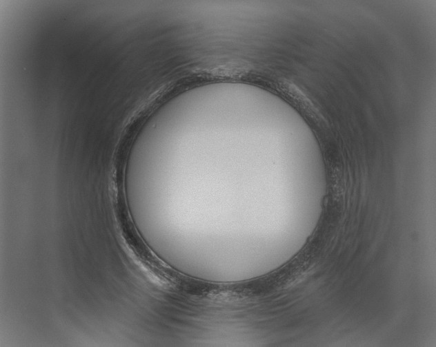 X0000073970634200609111743