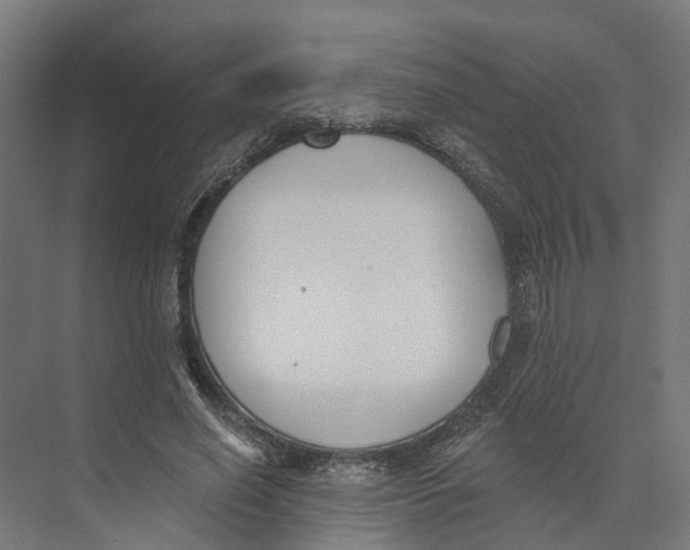 X0000073970638200609111743