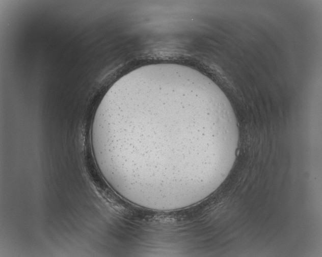 X0000073970640200609111743