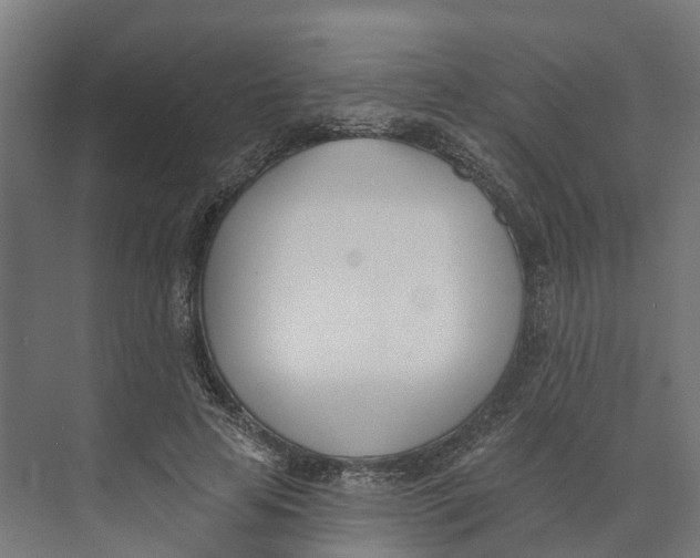 X0000073970641200609111743