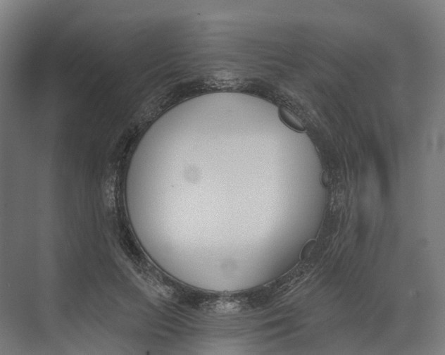 X0000073970647200609111743