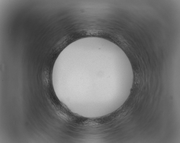 X0000073970648200609111743