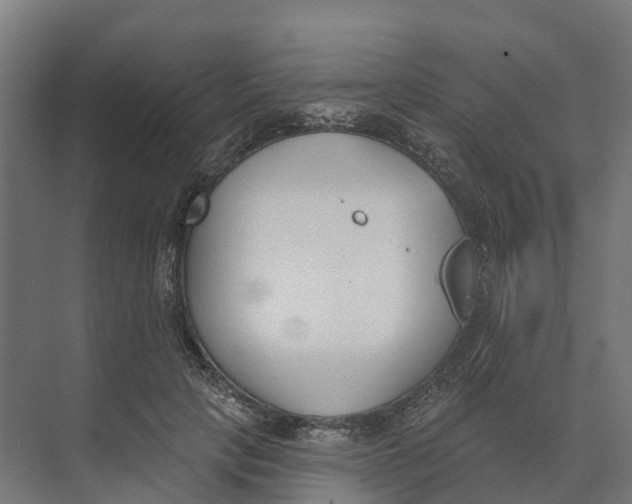 X0000073970649200609111743