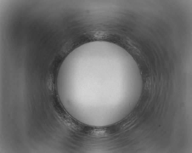 X0000073970651200609111743