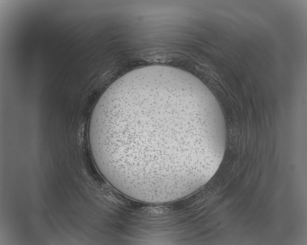 X0000073970652200609111743