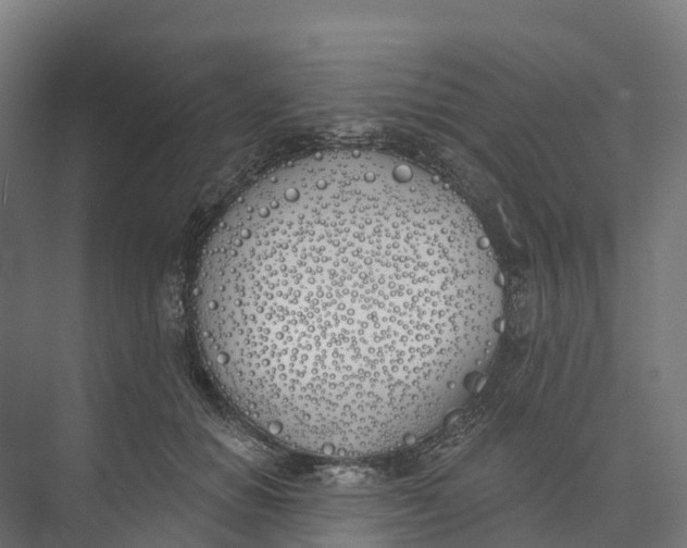 X0000073970654200609111743