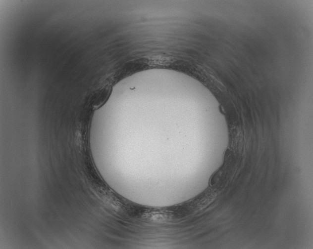 X0000073970655200609111743