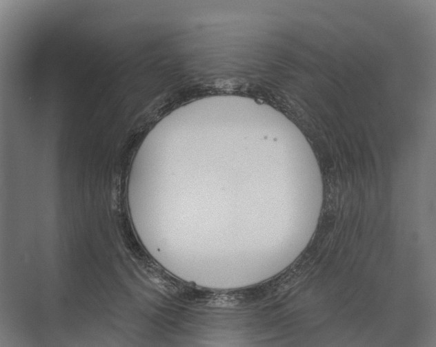 X0000073970656200609111743