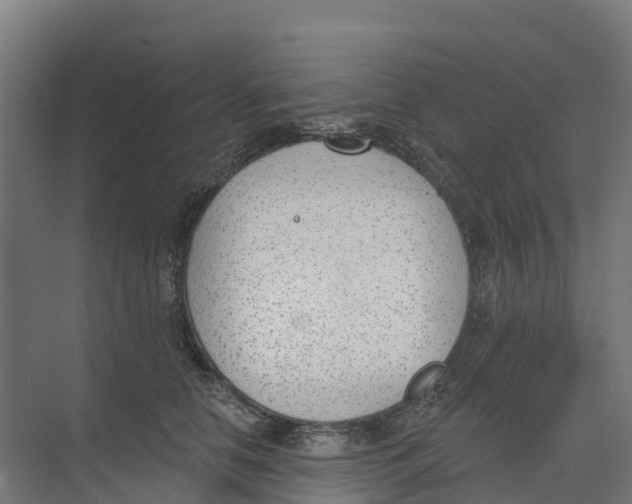 X0000073970658200609111743