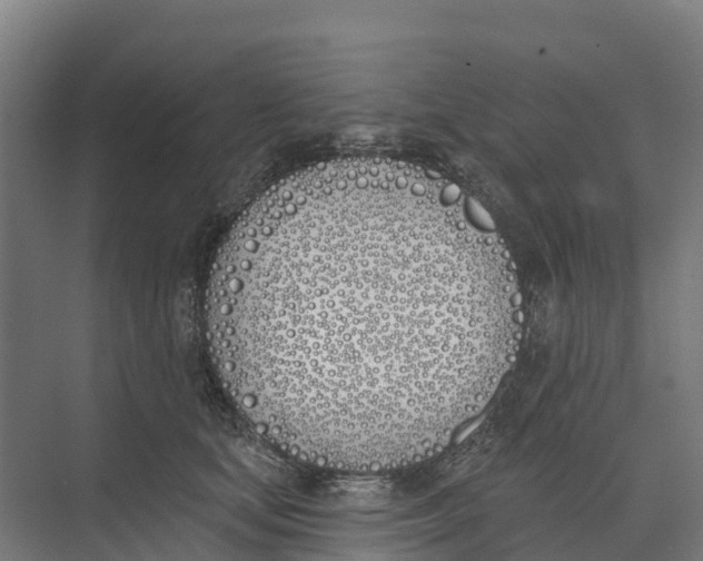 X0000073970659200609111743