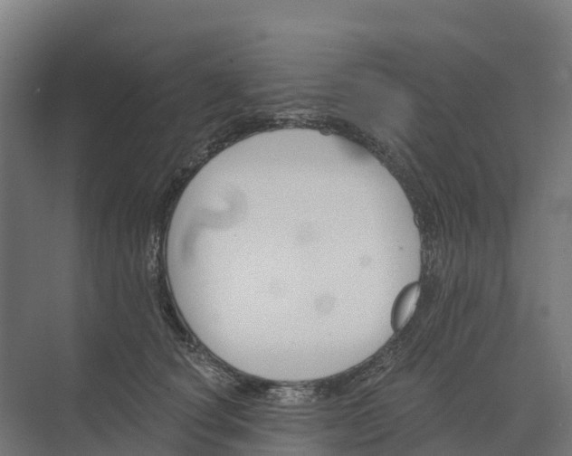 X0000073970660200609111743