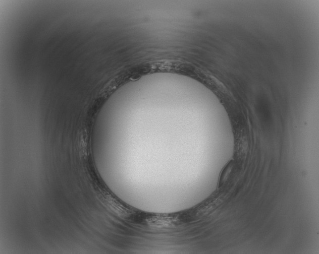 X0000073970661200609111743