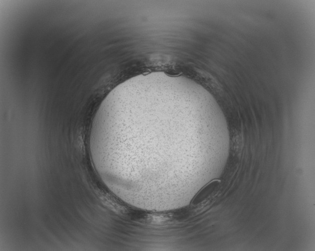 X0000073970662200609111743