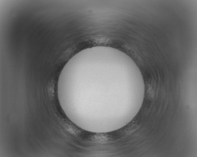 X0000073970668200609111743