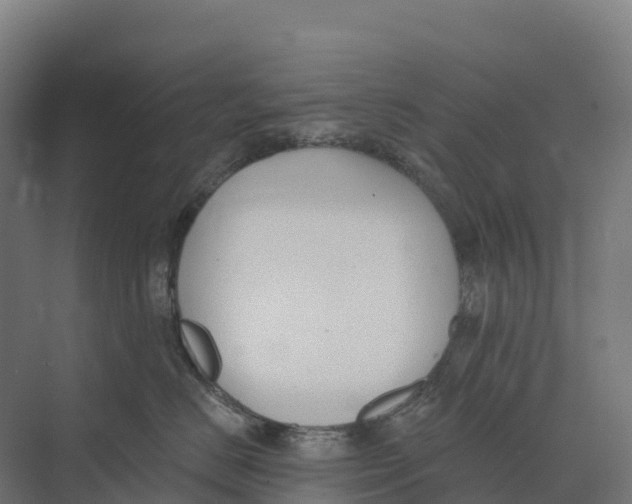 X0000073970670200609111743