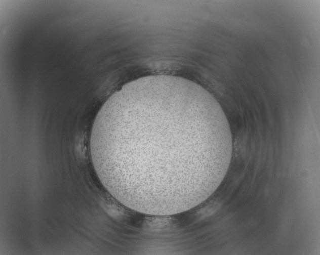 X0000073970671200609111743