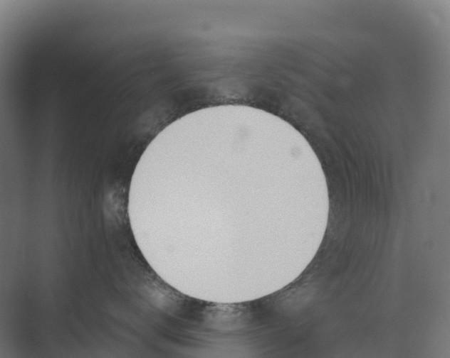 X0000073970672200609111743