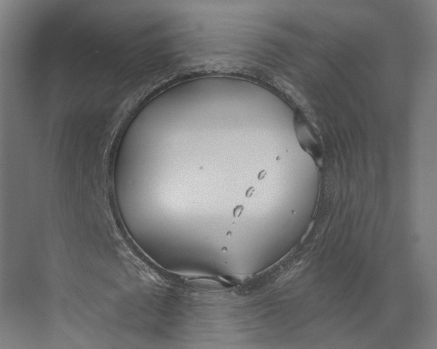 X0000073970673200609111743