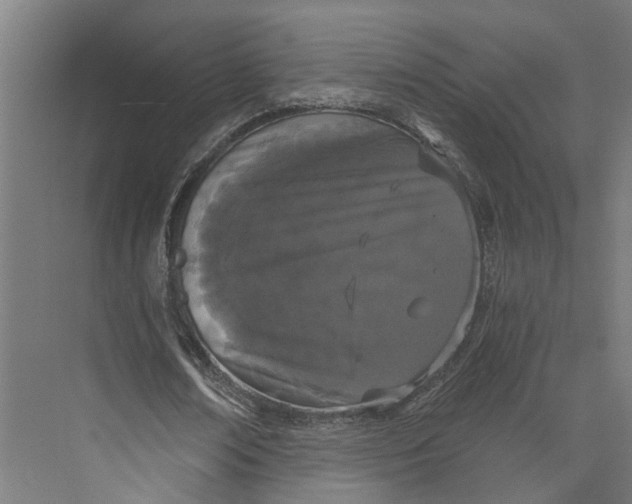 X0000073970674200609111743