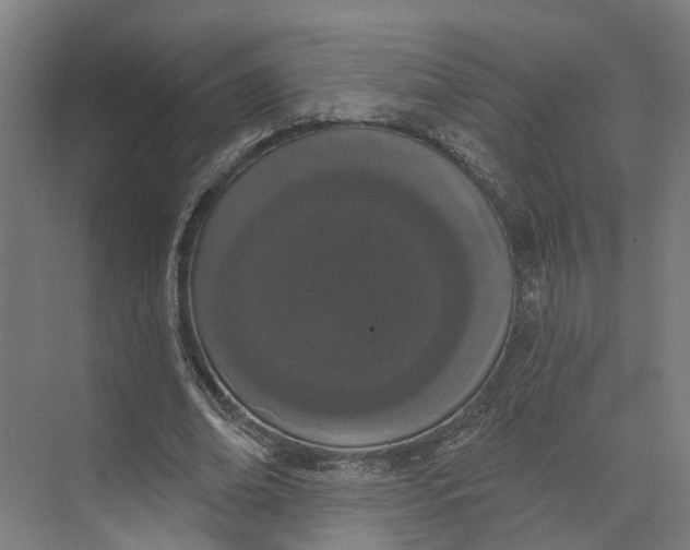 X0000073970678200609111742