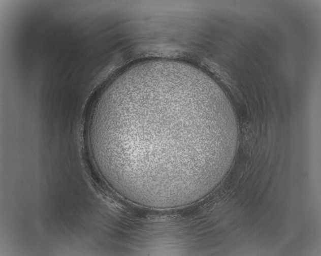 X0000073970679200609111742