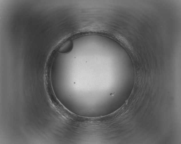 X0000073970680200609111742