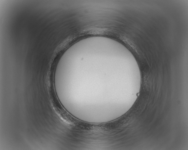 X0000073970682200609111742