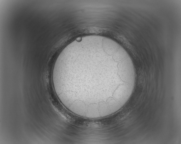 X0000073970683200609111742