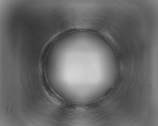 X0000073970684200609111742