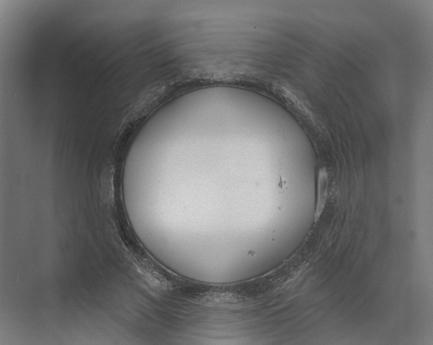 X0000073970685200609111742