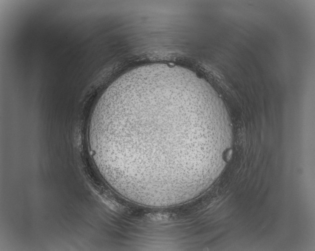 X0000073970687200609111742