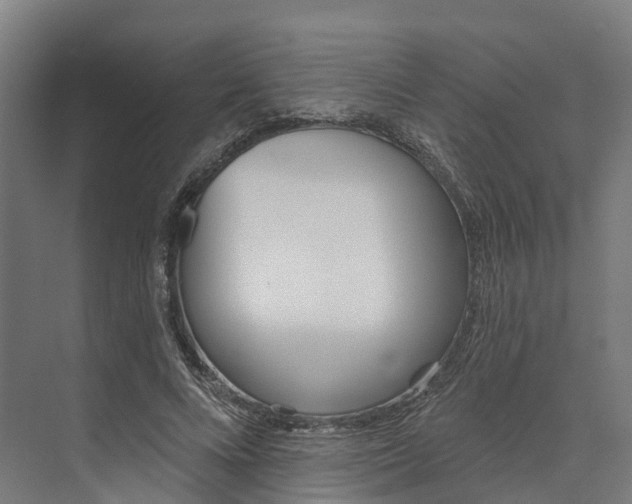 X0000073970688200609111742