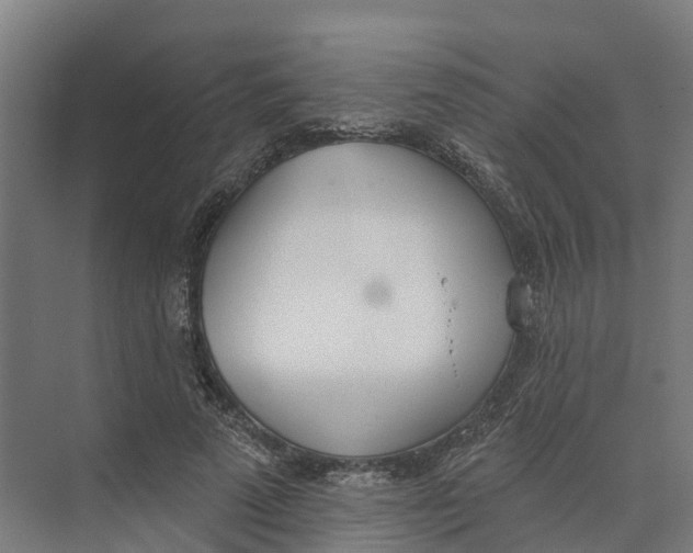 X0000073970689200609111742