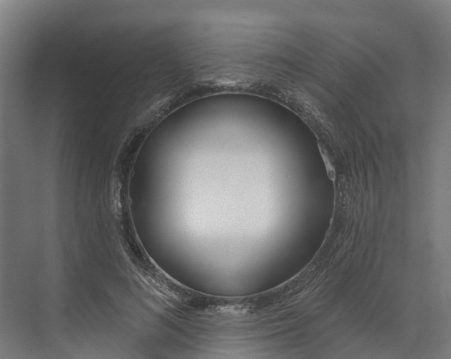 X0000073970692200609111742