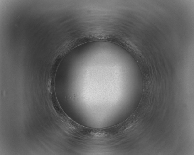 X0000073970693200609111742