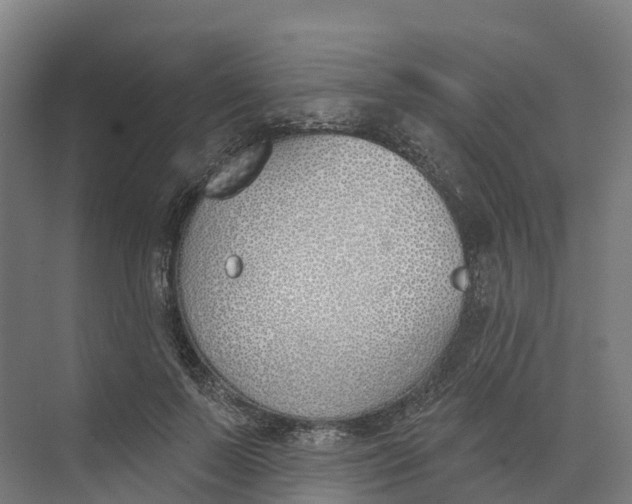 X0000073970695200609111742