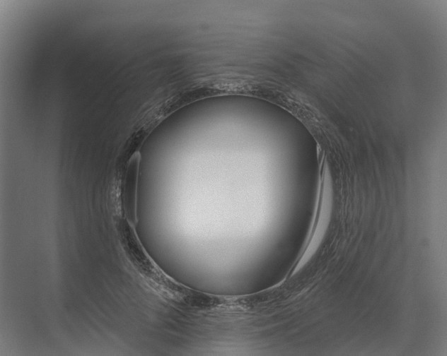 X0000073970696200609111742