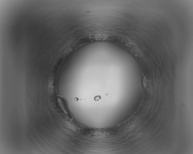 X0000073970697200609111742