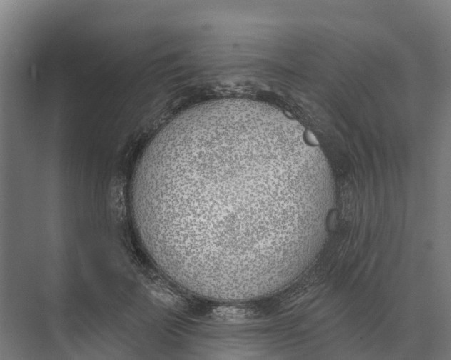 X0000073970699200609111742