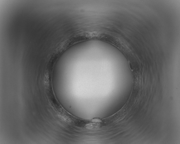 X0000073970700200609111742