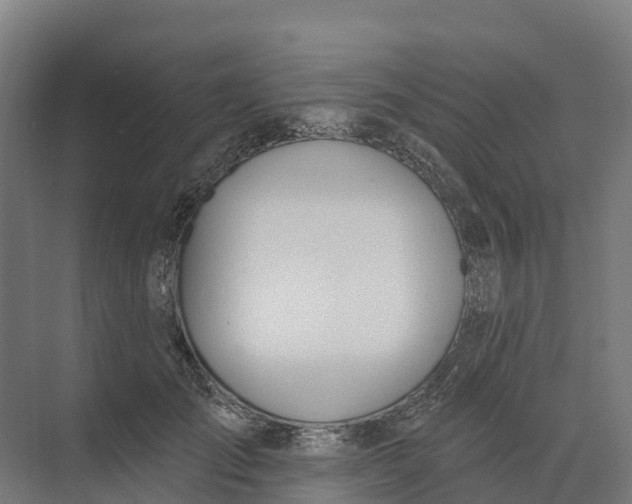 X0000073970701200609111742