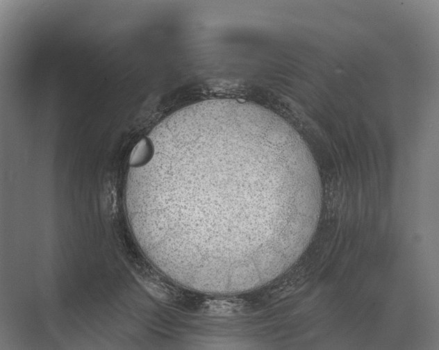 X0000073970703200609111742