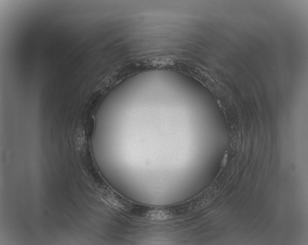 X0000073970704200609111742