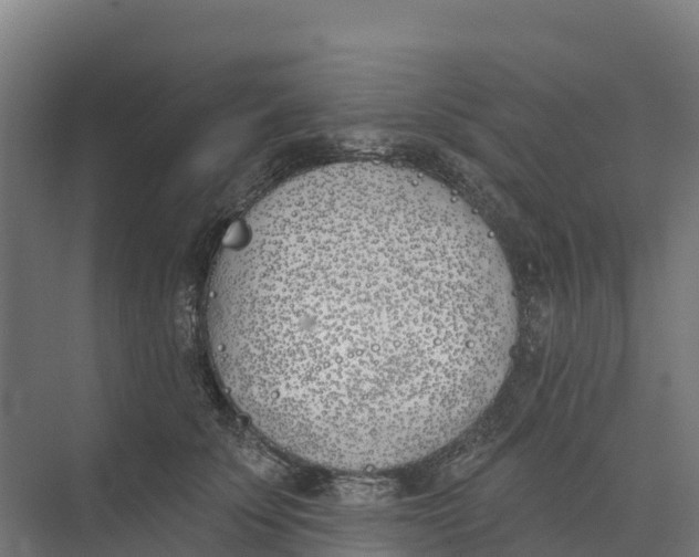 X0000073970707200609111742