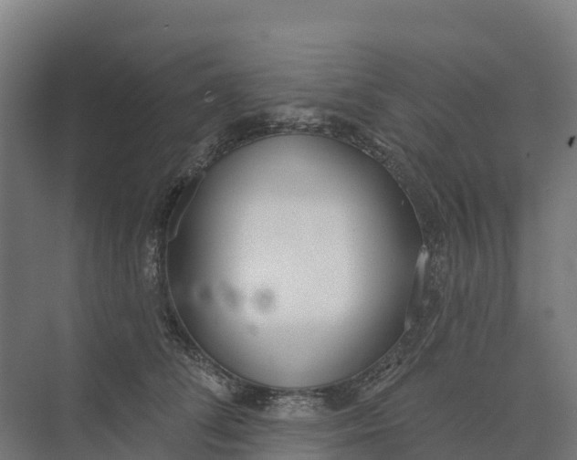 X0000073970708200609111742