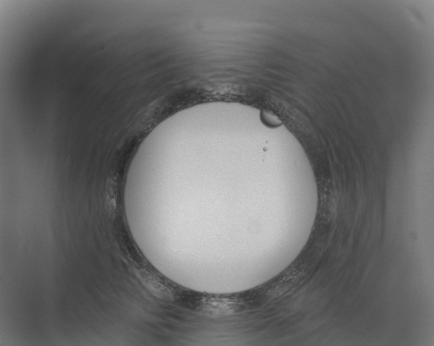 X0000073970710200609111742