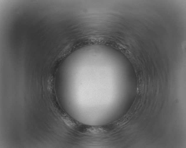 X0000073970712200609111742