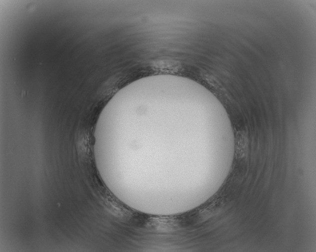 X0000073970713200609111742